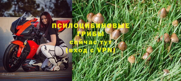 крисы Осташков